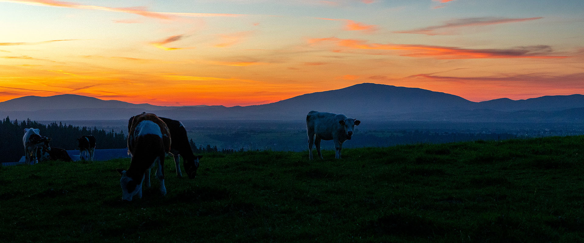 Willa Paula w Czerwiennem, pokoje z widokiem na Tatry